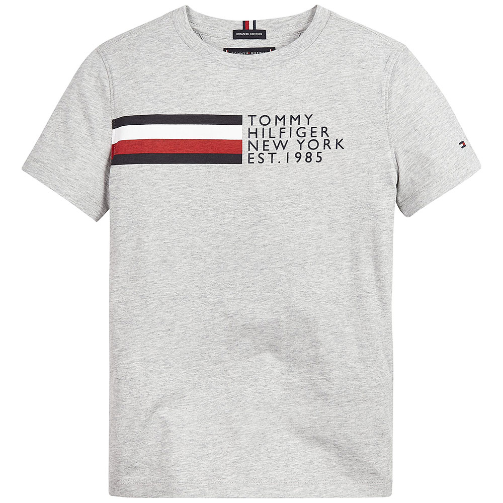 Global Stripe T-Shirt in Grey