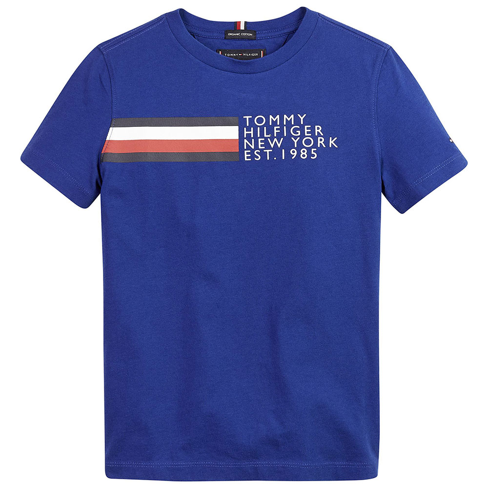 Global Stripe T-Shirt in Royal