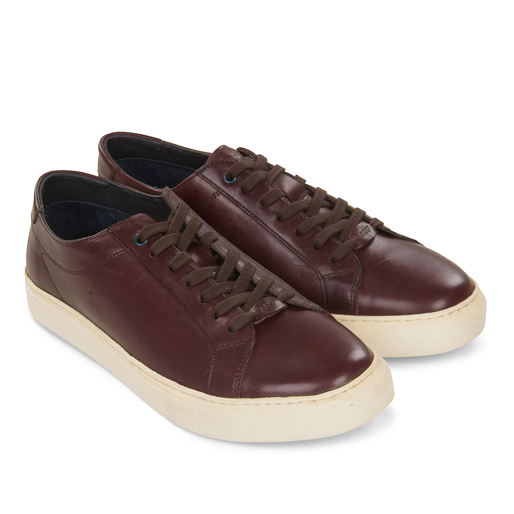 Louis Lace Shoe in Brown